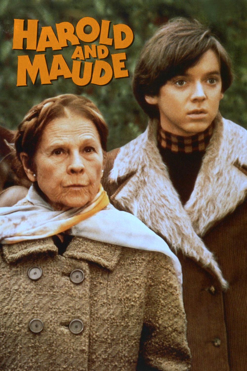 harold and maude2.jpg