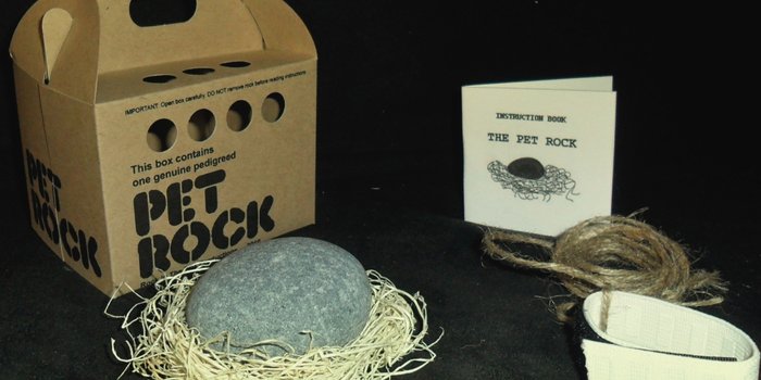 Pet Rocks