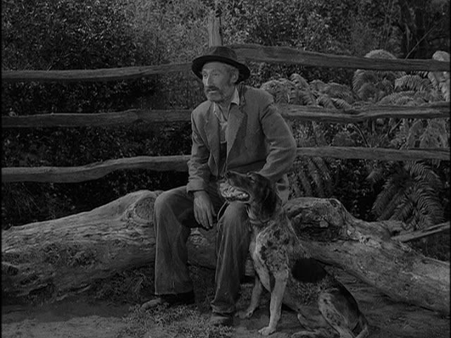 Twilight Zone – The Hunt – PowerPop… An Eclectic Collection