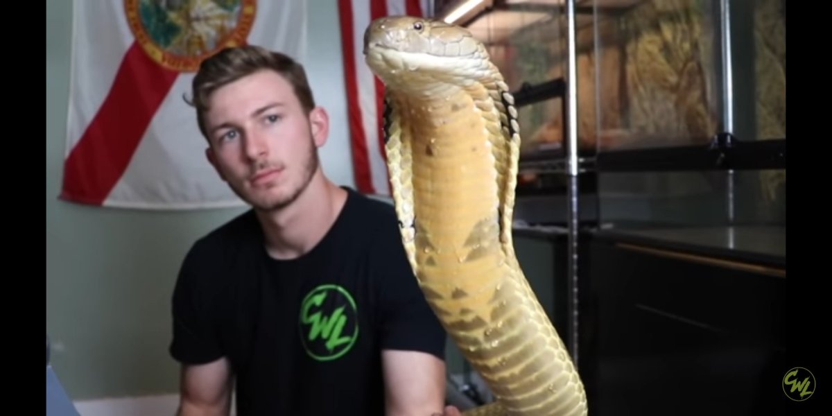 Chandler’s Wildlife II