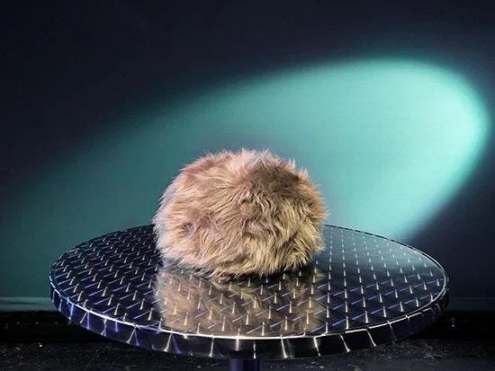 Tribble