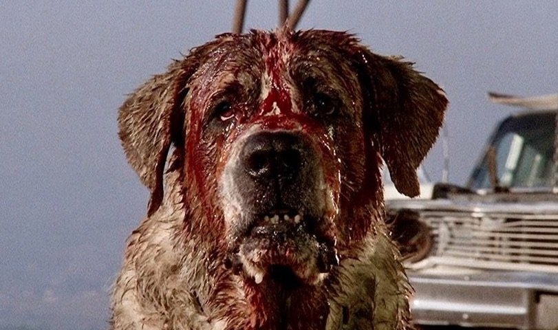 Max’s Drive-In Movie –&nbsp;Cujo
