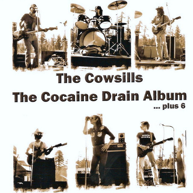 Cowsills – Cocaine&nbsp;Drain